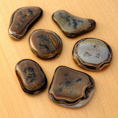PB130020.JPG